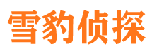 礼泉捉小三公司